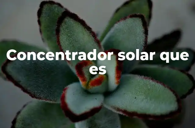 Concentrador Solar que es