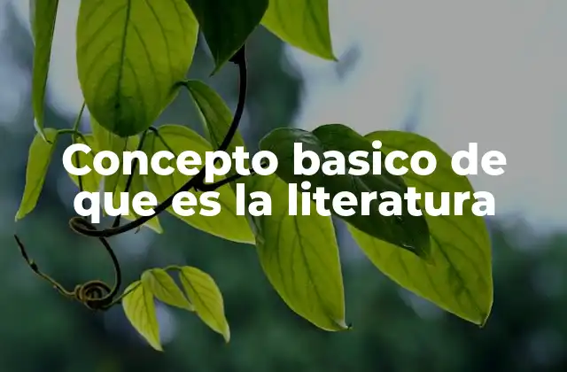 Concepto Basico de que es la Literatura 2 La expresión humana a través de la palabra escrita
