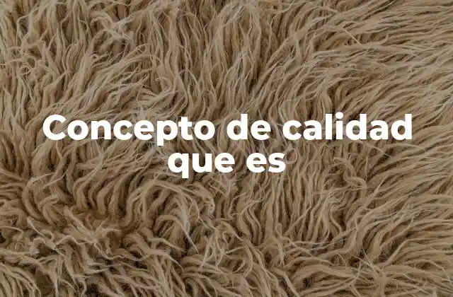 Concepto de Calidad que es