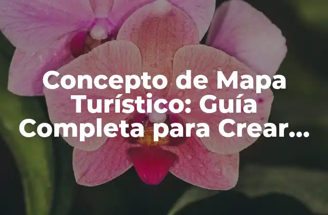 Concepto de Mapa Turístico: Guía Completa para Crear Experiencias de Viaje Únicas