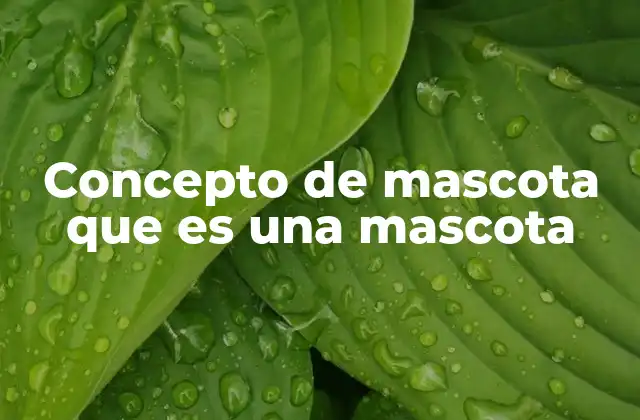 Concepto de Mascota que es una Mascota