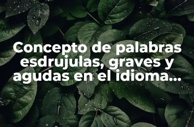 Concepto de Palabras Esdrujulas, Graves y Agudas en el Idioma Español