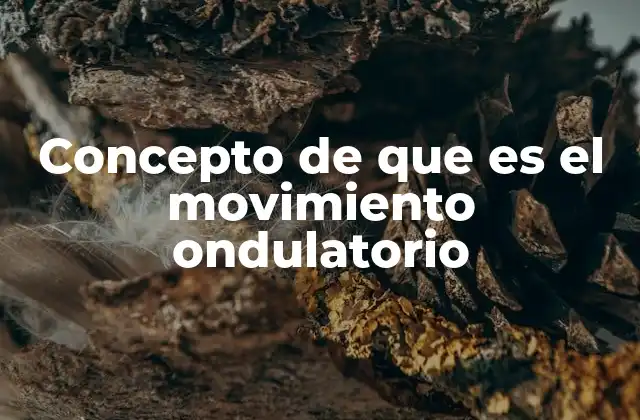 Concepto de que es el Movimiento Ondulatorio
