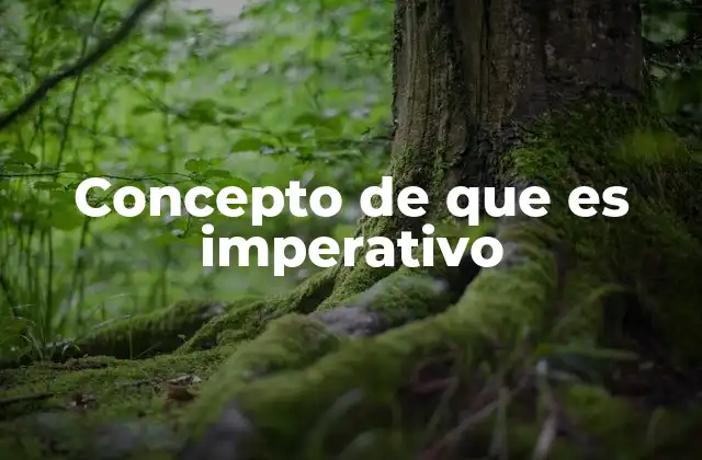 Concepto de que es Imperativo