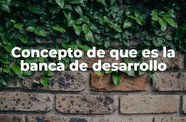 Concepto de que es la Banca de Desarrollo