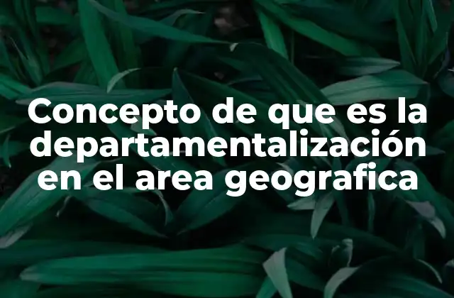 Concepto de que es la Departamentalización en el Area Geografica
