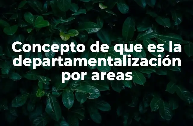 Concepto de que es la Departamentalización por Areas