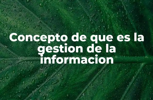 Concepto de que es la Gestion de la Informacion