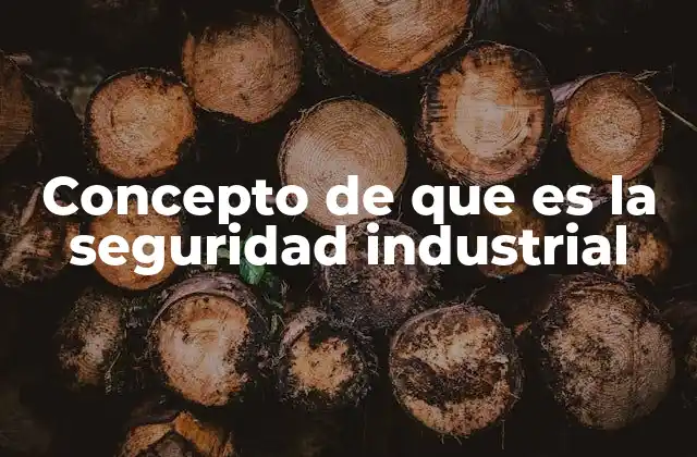 Concepto de que es la Seguridad Industrial