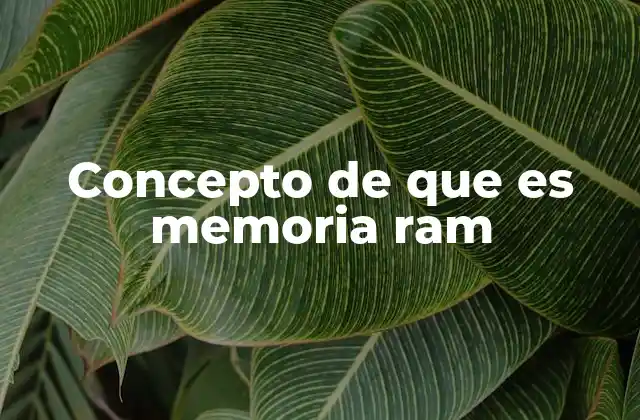 Concepto de que es Memoria Ram