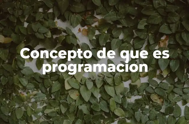 Concepto de que es Programacion