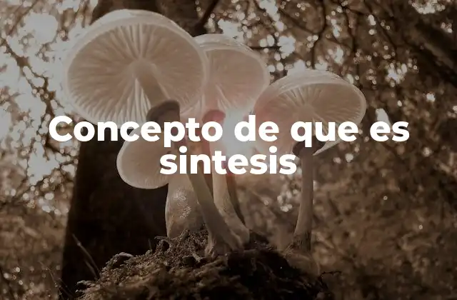 Concepto de que es Sintesis