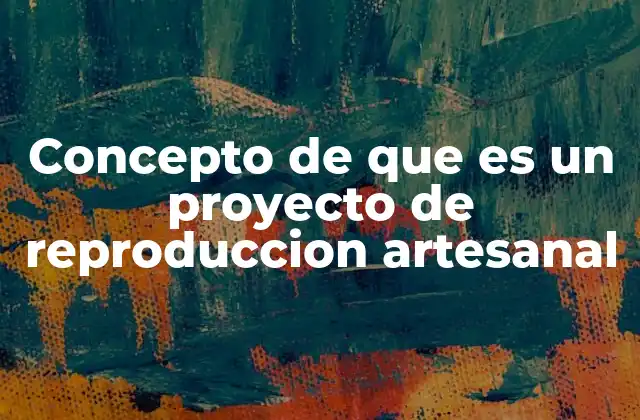 Concepto de que es un Proyecto de Reproduccion Artesanal