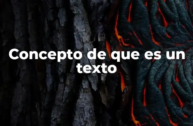 Concepto de que es un Texto