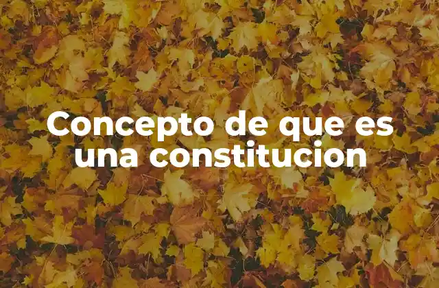 Concepto de que es una Constitucion