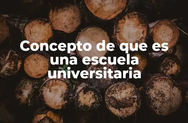 Concepto de que es una Escuela Universitaria