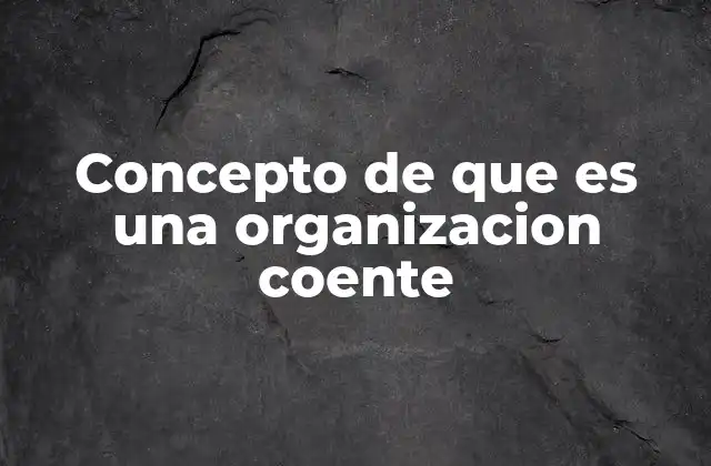 Concepto de que es una Organizacion Coente