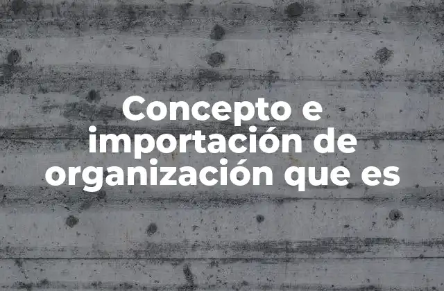 Concepto e Importación de Organización que es