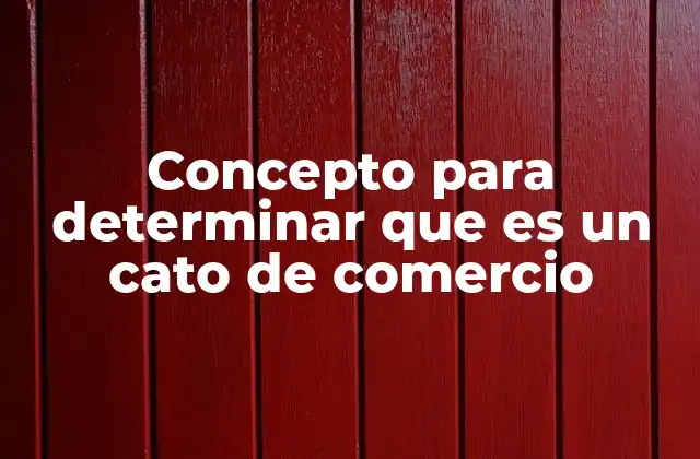 El rol del cato de comercio en la gestión empresarial