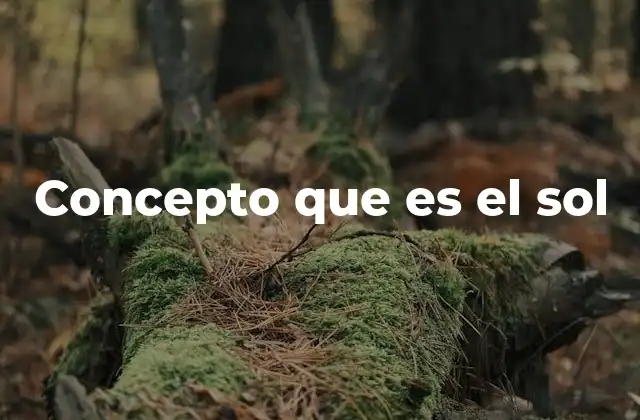 Concepto que es el Sol