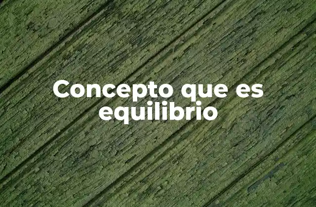 Concepto que es Equilibrio