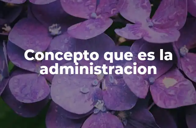Concepto que es la Administracion