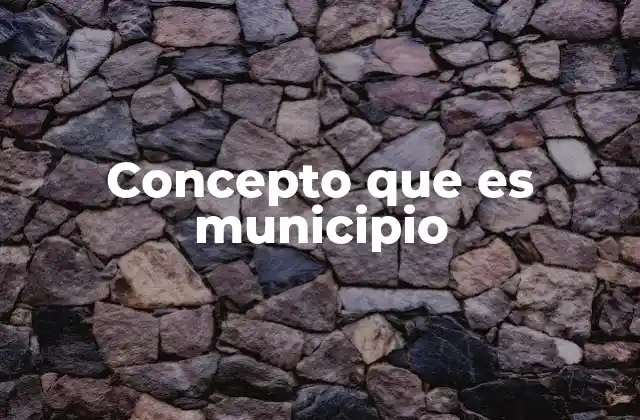 Concepto que es Municipio
