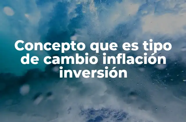 Concepto que es Tipo de Cambio Inflación Inversión
