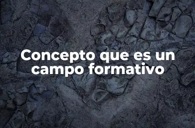 Concepto que es un Campo Formativo