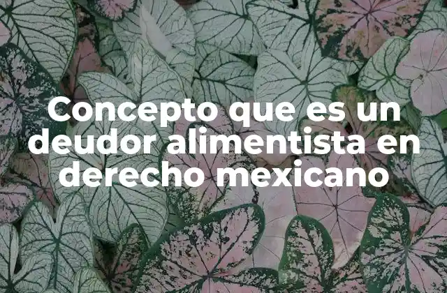 Concepto que es un Deudor Alimentista en Derecho Mexicano