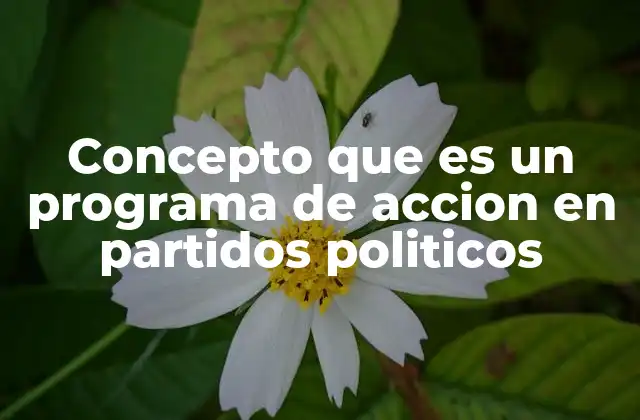Concepto que es un Programa de Accion en Partidos Politicos
