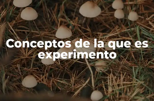 Conceptos de la que es Experimento
