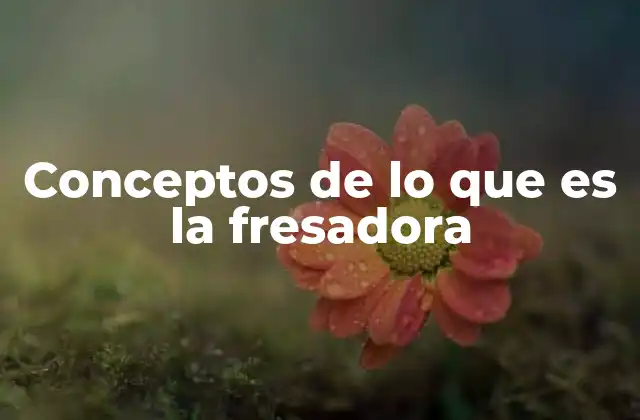 Conceptos de Lo que es la Fresadora