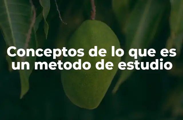 Conceptos de Lo que es un Metodo de Estudio