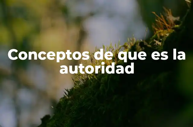 Conceptos de que es la Autoridad