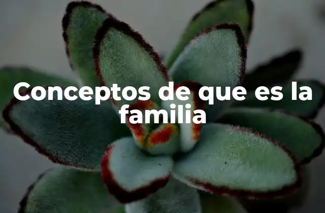 Conceptos de que es la Familia