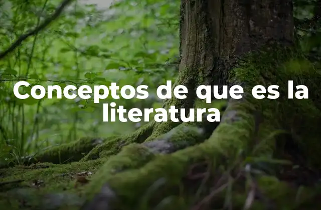 Conceptos de que es la Literatura