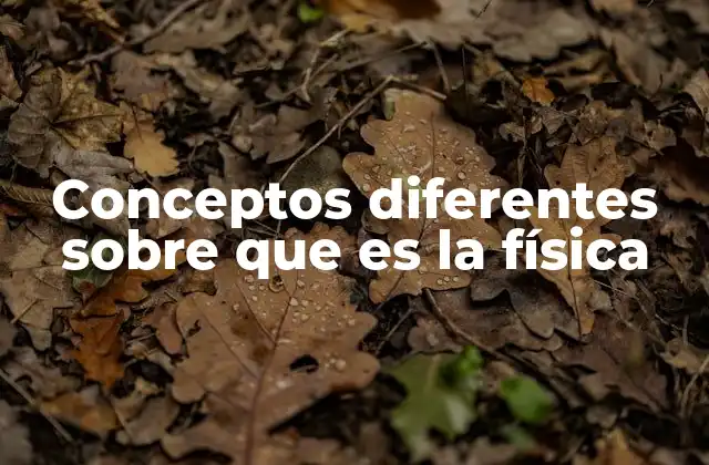 Conceptos Diferentes sobre que es la Física