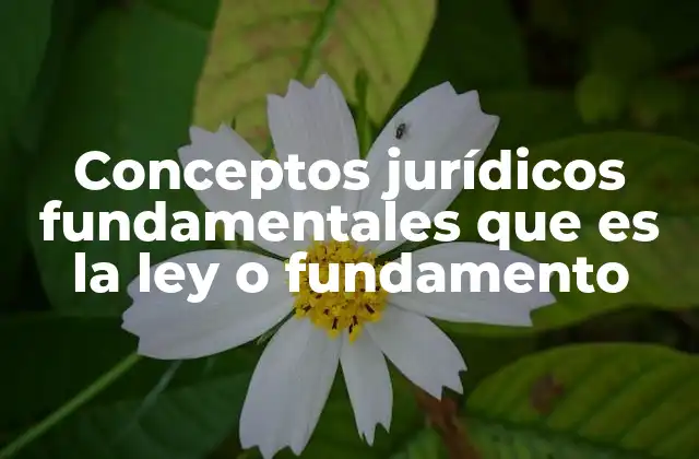 Conceptos Jurídicos Fundamentales que es la Ley o Fundamento