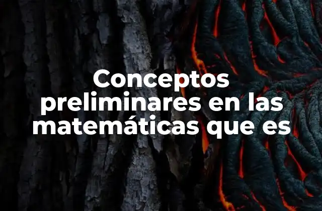 Conceptos Preliminares en las Matemáticas que es