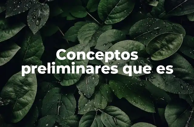 Conceptos Preliminares que es