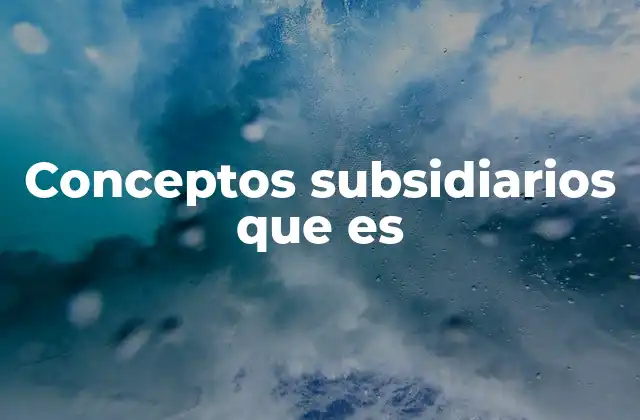 Conceptos Subsidiarios que es