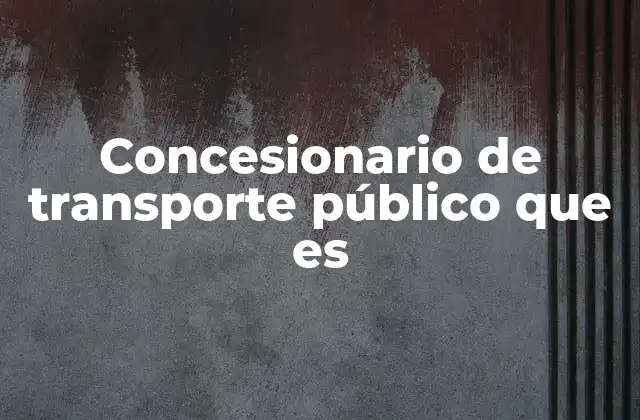 Concesionario de Transporte Público que es