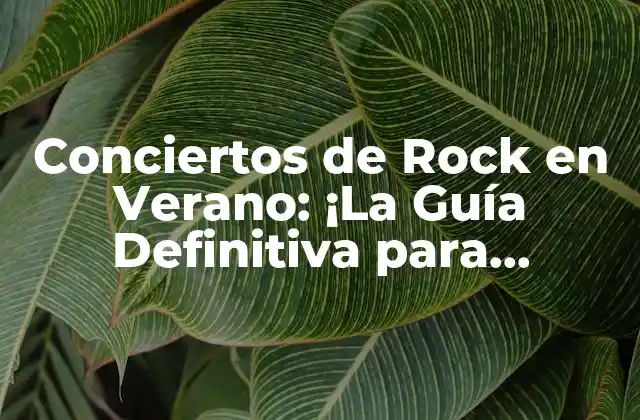 Conciertos de Rock en Verano: ¡la Guía Definitiva para Disfrutar de un Verano de Ruido!