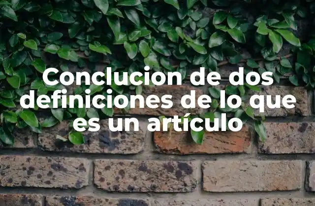Conclucion de Dos Definiciones de Lo que es un Artículo