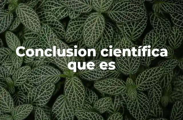 Conclusion Científica que es