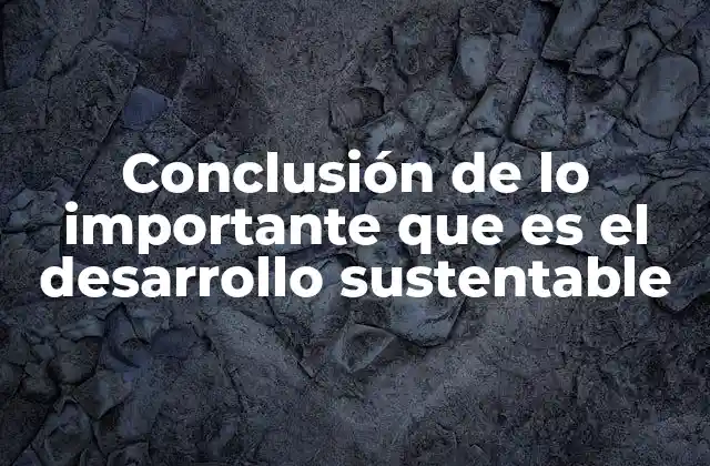Conclusión de Lo Importante que es el Desarrollo Sustentable