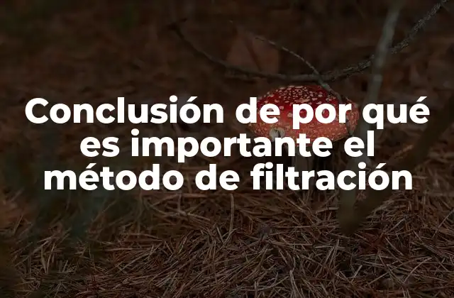 Conclusión de por Qué es Importante el Método de Filtración