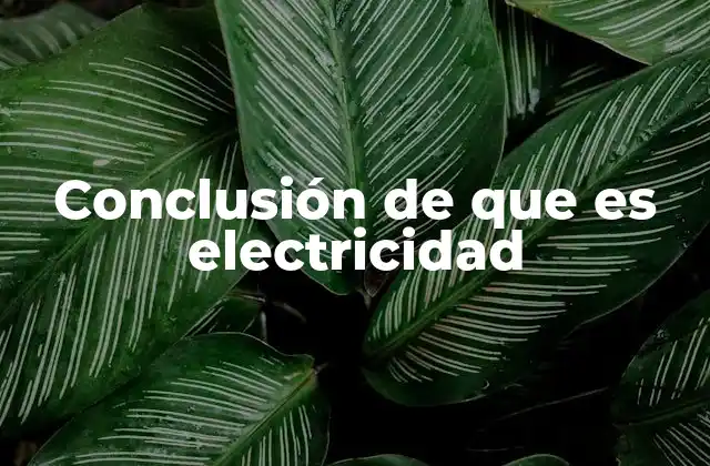 La importancia de la electricidad en el mundo moderno