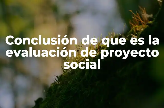 Conclusión de que es la Evaluación de Proyecto Social